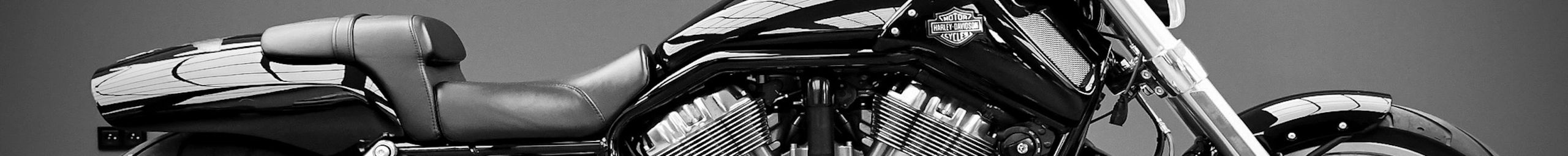 Harley-Davidson V-Rod Muscle